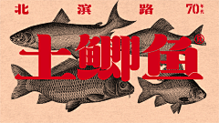 zwhy丶丶采集到品牌策划