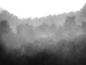 原始丛林纹理PNG免抠图案 (2)