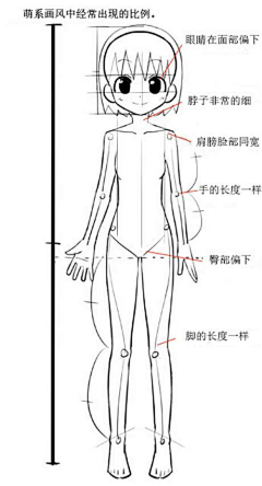 卡片H采集到绘画— 人体结构