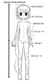 动漫人体比例