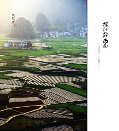 以梦游天采集到动物 静物  景物