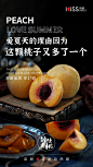 主海报3