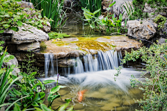 尚炫杨采集到4. 水景,泳池,强淋