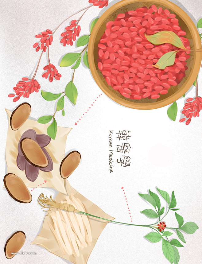 中医药膳针灸蘑菇林芝枸杞人参中式医疗医学...