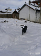 一月.大雪