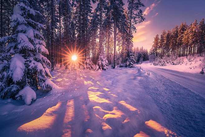 Winter Mood by Ole H...