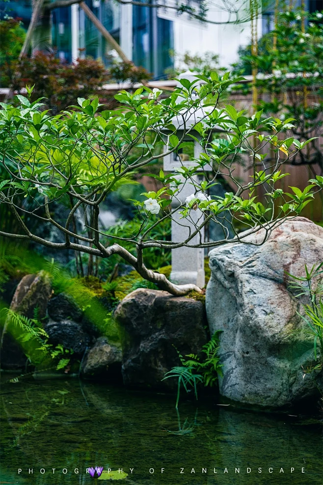 肖三胖 / 至岸景观 – mooool木藕设计网-花瓣网