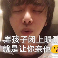 丁与丁丁采集到Z.华晨宇 ❤️  表情包