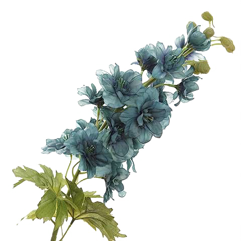 中国古风水墨花手绘水彩植物花卉装饰 免抠...