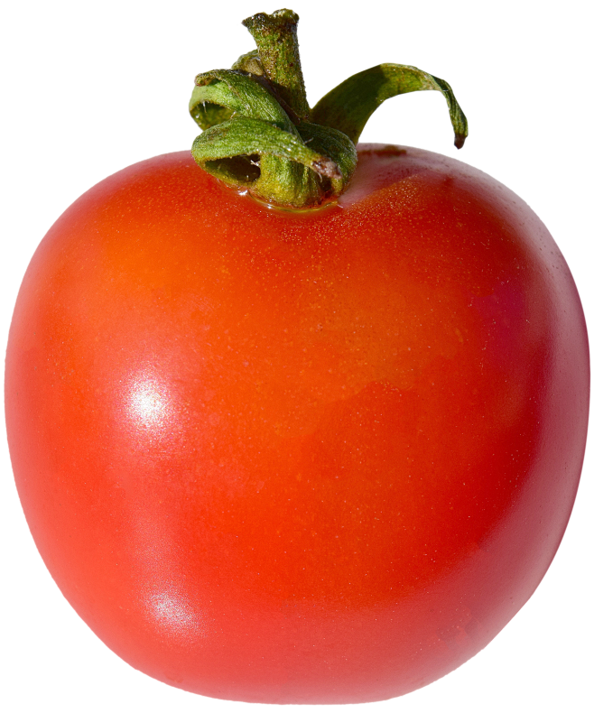 tomato