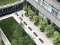 Tisch Courtyard NYU LMC Planting Design – JPLA