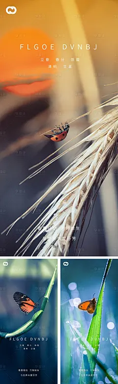 立春节气系列海报-源文件【享设计】