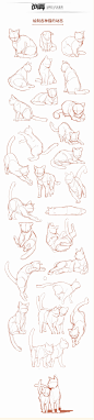 激萌猫咪的绘画教程~喵喵喵 How to draw a cute kitty！, chen zhan : 教你如何画激萌猫咪<br/>从猫的身体结构到动态