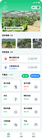 绿色清新UI移动端界面1