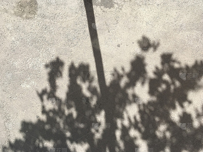 树的影子
