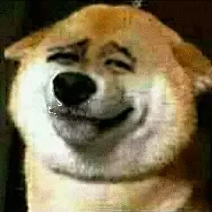 来自分享  柴犬聊天表情包