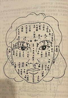 胖发达采集到中医