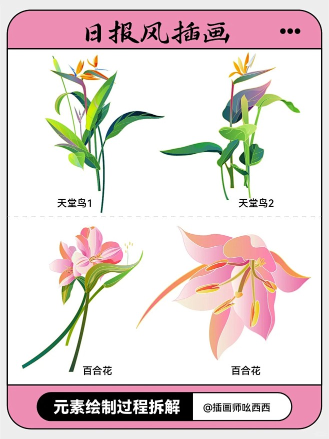 还不会画日报风插画花卉？快看这篇_3_插...