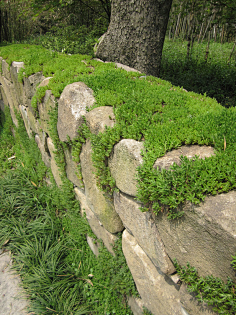 景观设计庭院围墙门头规划设计