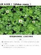 可以成为辣椒伴侣的伙伴们 - 小红书