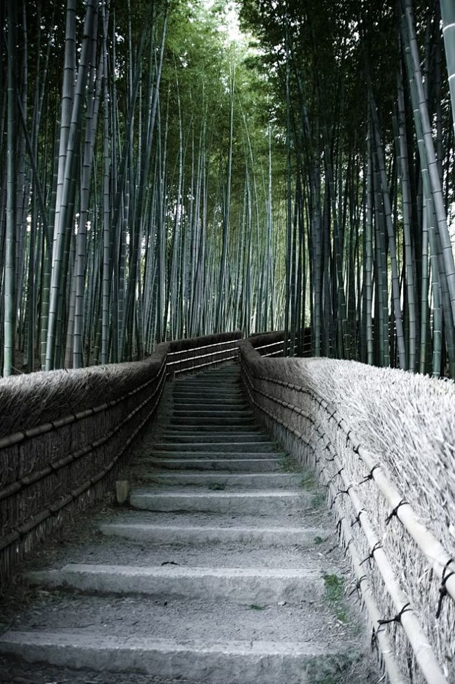 竹林在岚山，日本京都