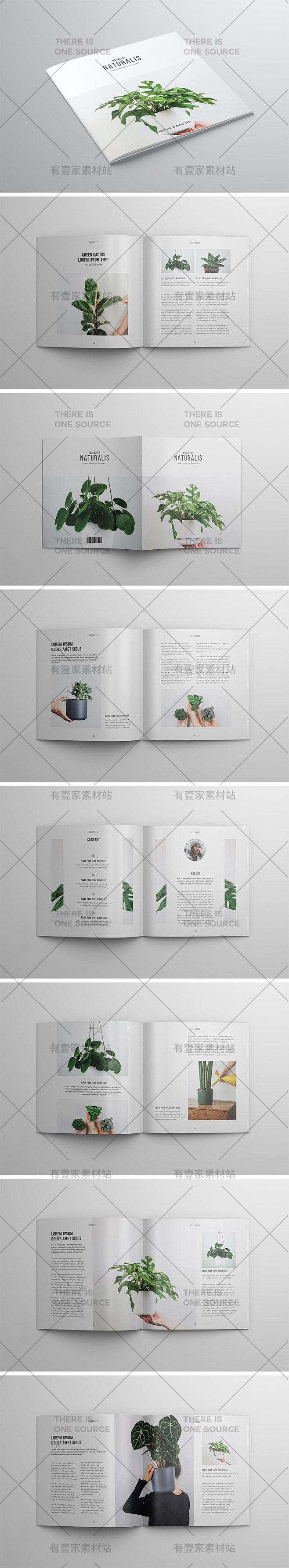 时尚简约方形美食摄影绿植品牌宣传杂志画册...