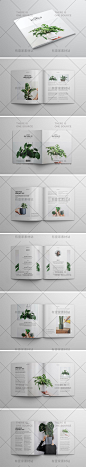 时尚简约方形美食摄影绿植品牌宣传杂志画册设计排版模板INDD素材-淘宝网
