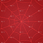 蜘蛛网在红色的背景。矢量图