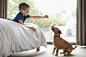 Boy giving dog treat in bedroom by Caia Images on 500px
