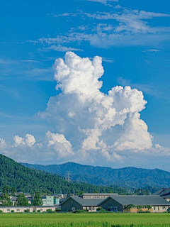 须弥佐佐采集到咸鱼- L12色彩场景