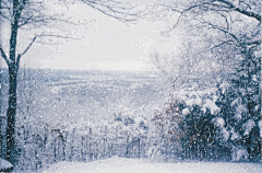 雪GIF动态图片_雪GIF素材_雪表情包-SOOGIF