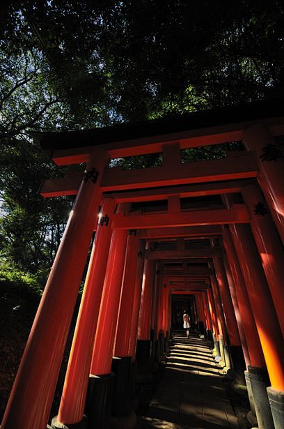 Fushimi Inari shrine...