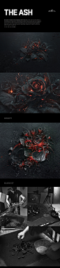 The Ash on Behance