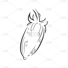 Tomato drawing icon