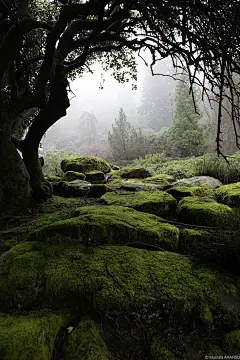场景素材