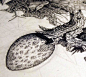 手 绘 素 材 。、手绘、插画、设计、素材、图
