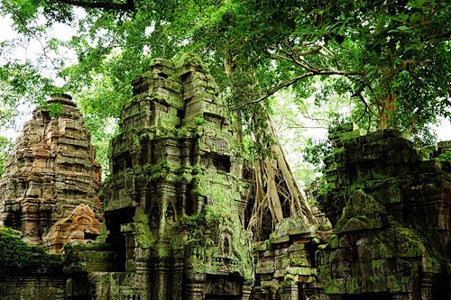 67高清图片丛林中破旧废弃的遗址古迹古代文明探险冒险ps素材淘宝网
