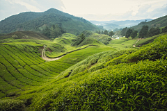 XHOJL采集到大场景