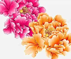 手绘创意牡丹花效果