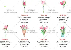 cm289浪漫郁金香单束花朵树叶手绘水彩PNG生日贺卡PS海报设计素材-淘宝网
