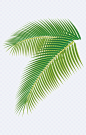 椰树叶子素材|椰树叶子,椰树,叶子,夏天,夏季,自然元素,免扣png