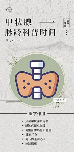 腺体3