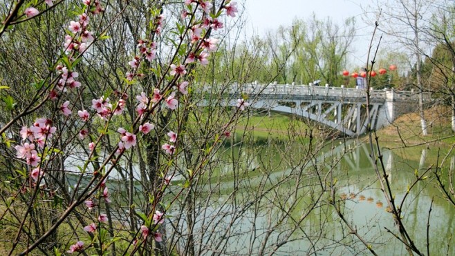 【蚁游中国】颍州西湖
〖如果你爱•旅游，...