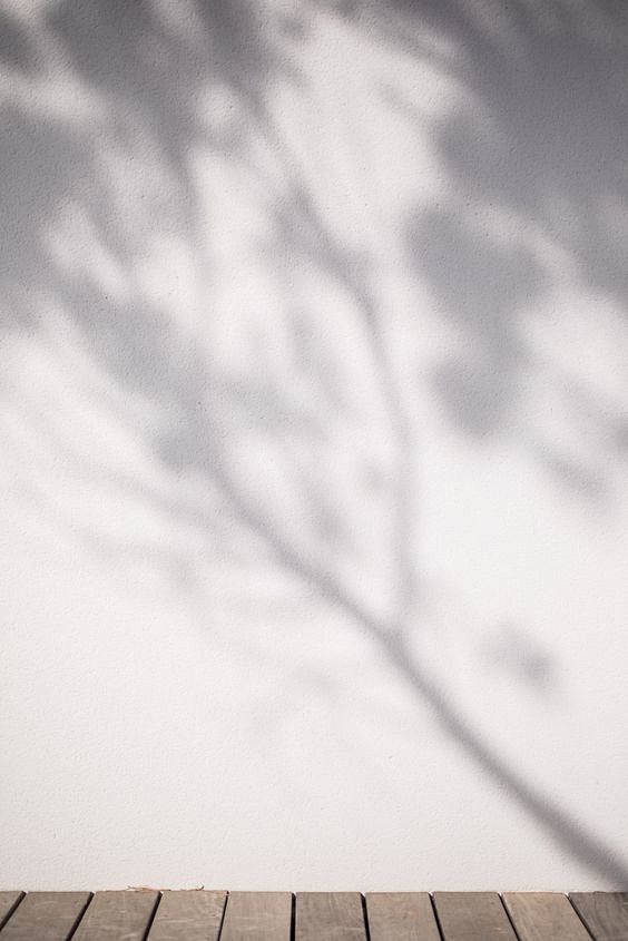 Vegetal shadows by M...