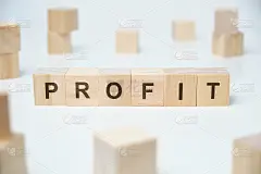 现代商业流行语——利润。白底木块上的字。
