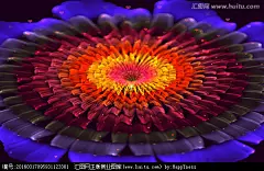 抽象花朵鲜花花朵墙贴幻彩炫彩花朵浪漫花朵花朵装饰画花朵背景墙梦幻花朵花朵壁纸墙纸唯美花朵花花朵花纹图案花卉背景纹理分形花