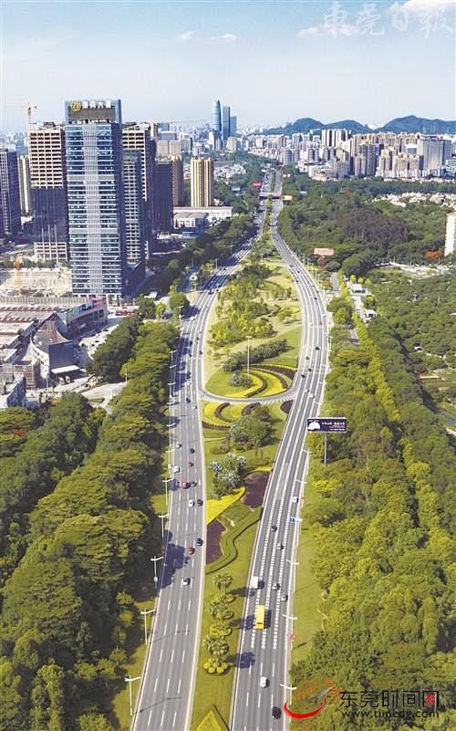 东莞大道，这条人们出没最繁忙的城市主干道...