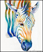 细腻的水彩动物插画，将细节与色彩演绎到极致。                                         Brandon Keehner #采集大赛#