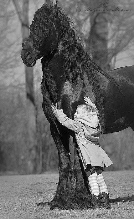 Le cheval et l'enfan...