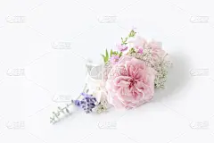 美丽的英国玫瑰花孤立在白色的背景。